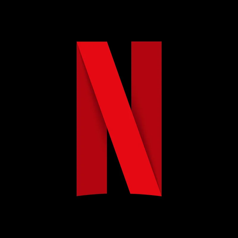 Netflix Warner Bros Bridge logo